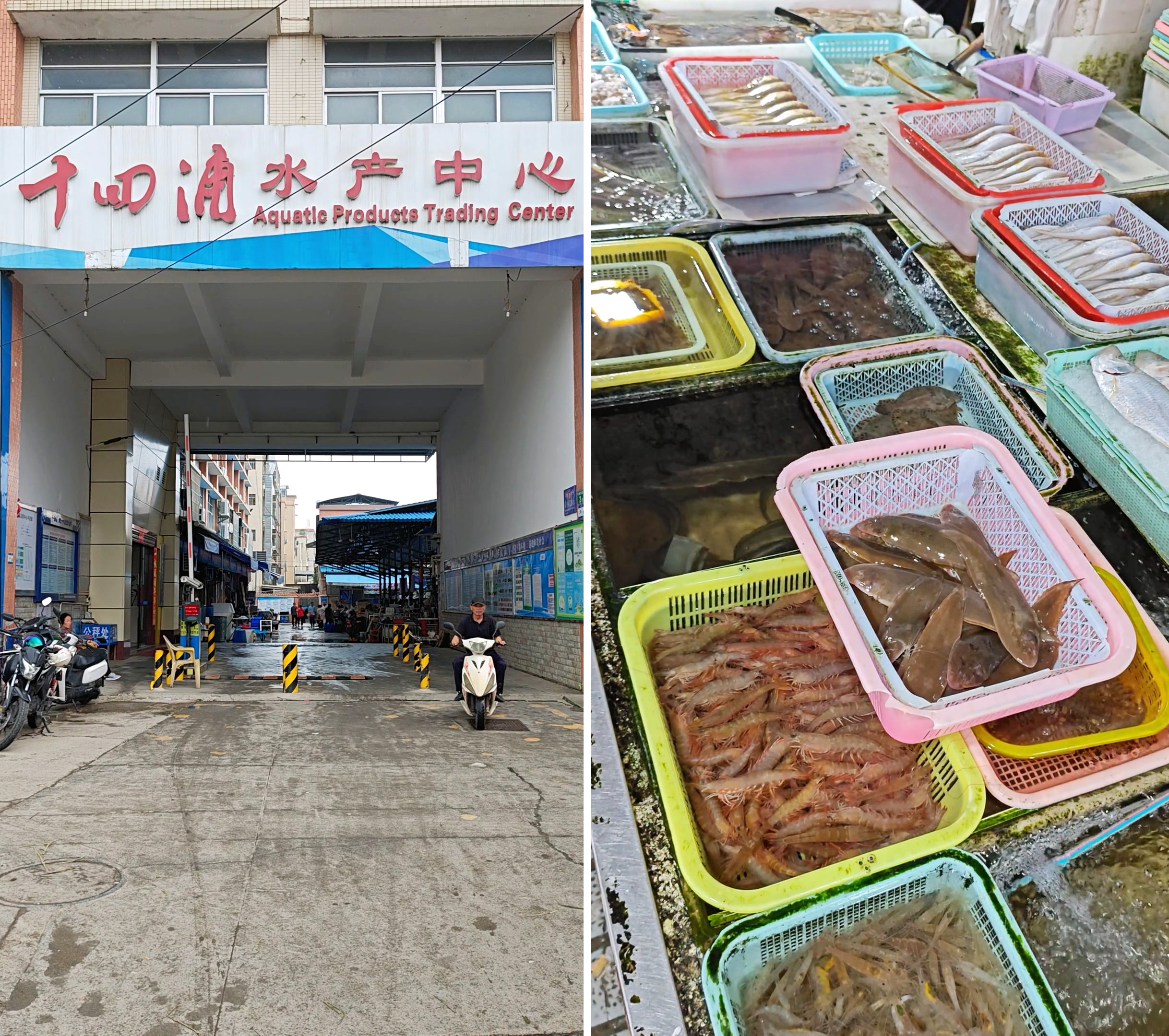 广州黄沙海鲜批发市场(广州黄沙海鲜批发市场地址) 广州黄沙海鲜批发市场(广州黄沙海鲜批发市场地址)