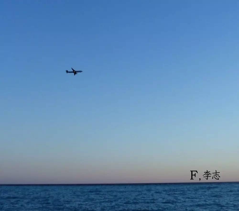 关于李志为什么被全网封的信息 关于李志为什么被全网封的信息
