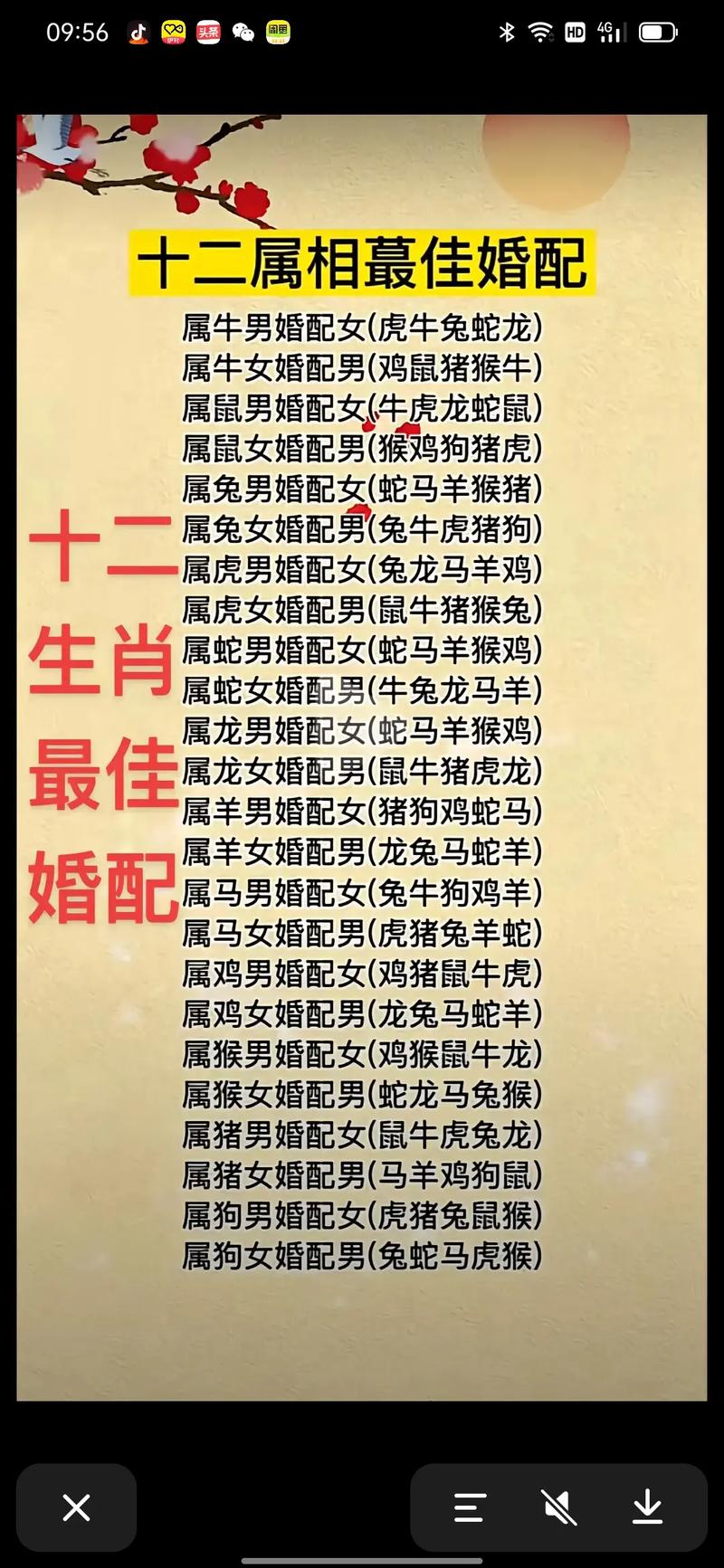 属猪男人最佳妻子(属猪男人最佳妻子是什么)