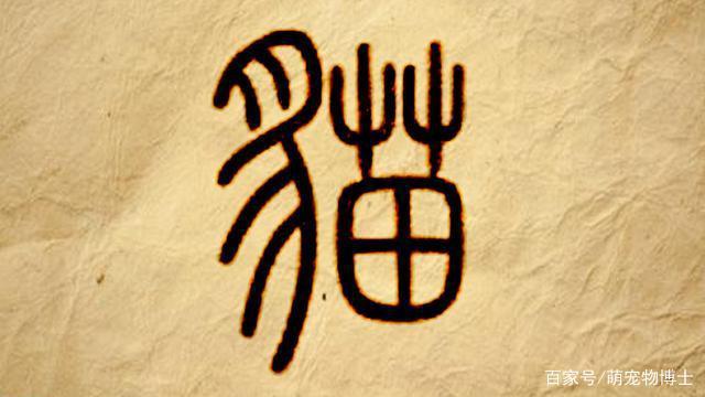 追本溯源拼音(追本溯源哪个字错了) 追本溯源拼音(追本溯源哪个字错了)