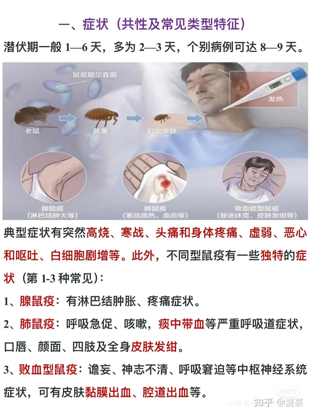什么情况会染上鼠疫(怎么判断自己有没有鼠疫) 什么情况会染上鼠疫(怎么判断自己有没有鼠疫)