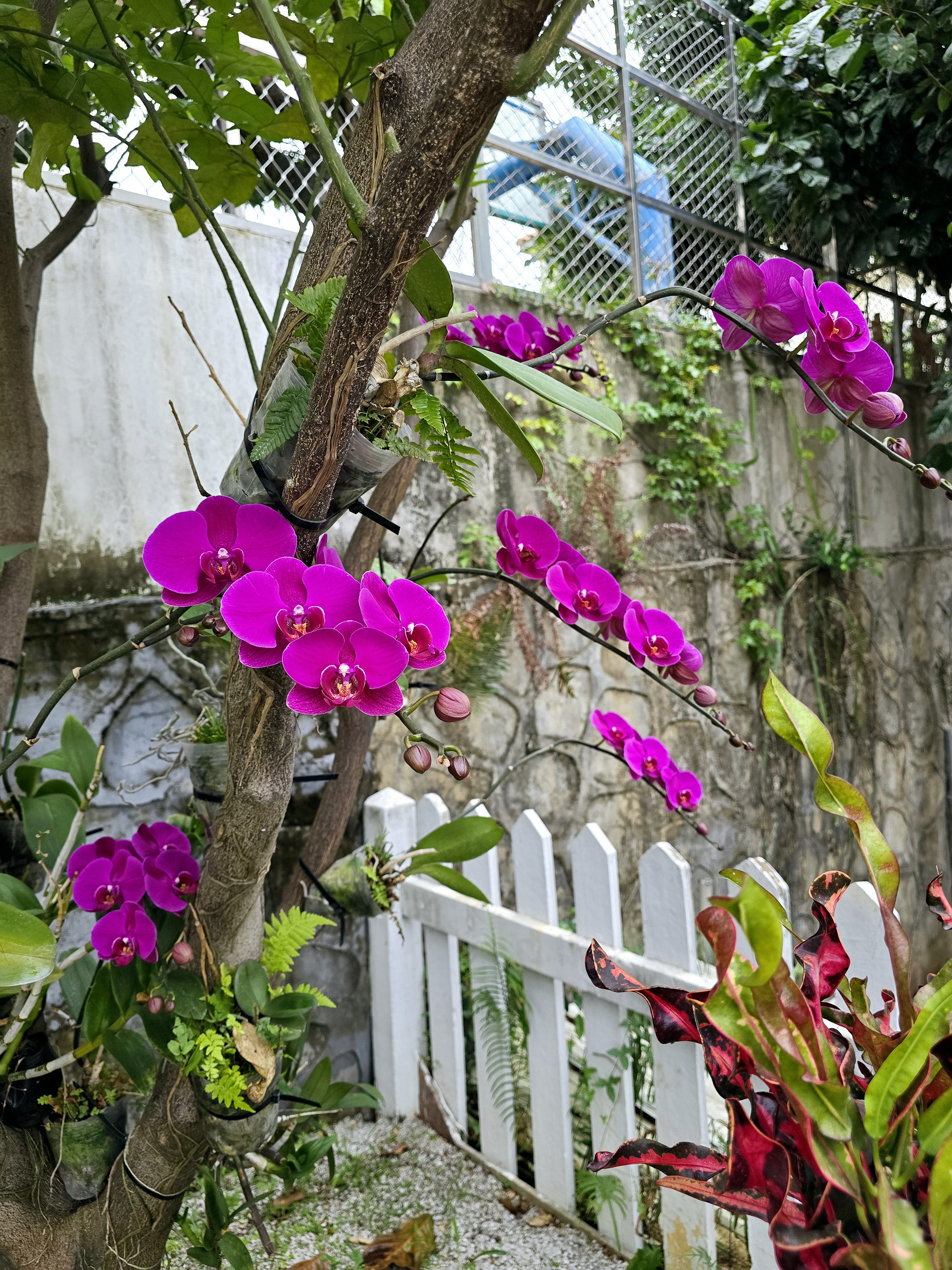 生气勃勃(生气勃勃是什么生肖)
