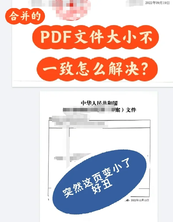 pdf打不开(pdf打不开文件打不开怎么办)