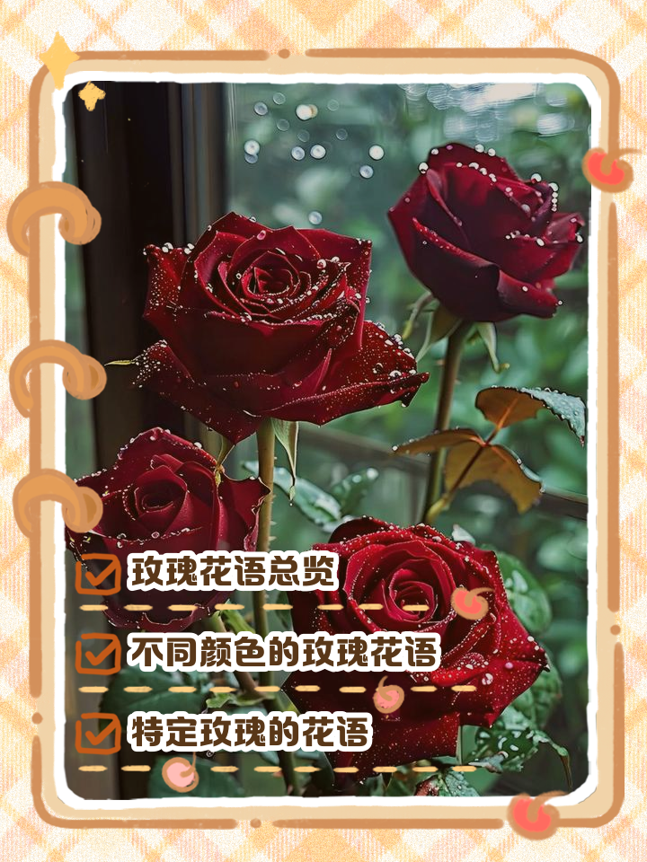 玫瑰花语颜色代表什么(玫瑰花颜色代表的含义花语) 玫瑰花语颜色代表什么(玫瑰花颜色代表的含义花语)