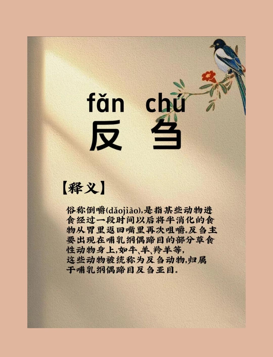 刍荛之言的意思(刍荛之理什么意思)