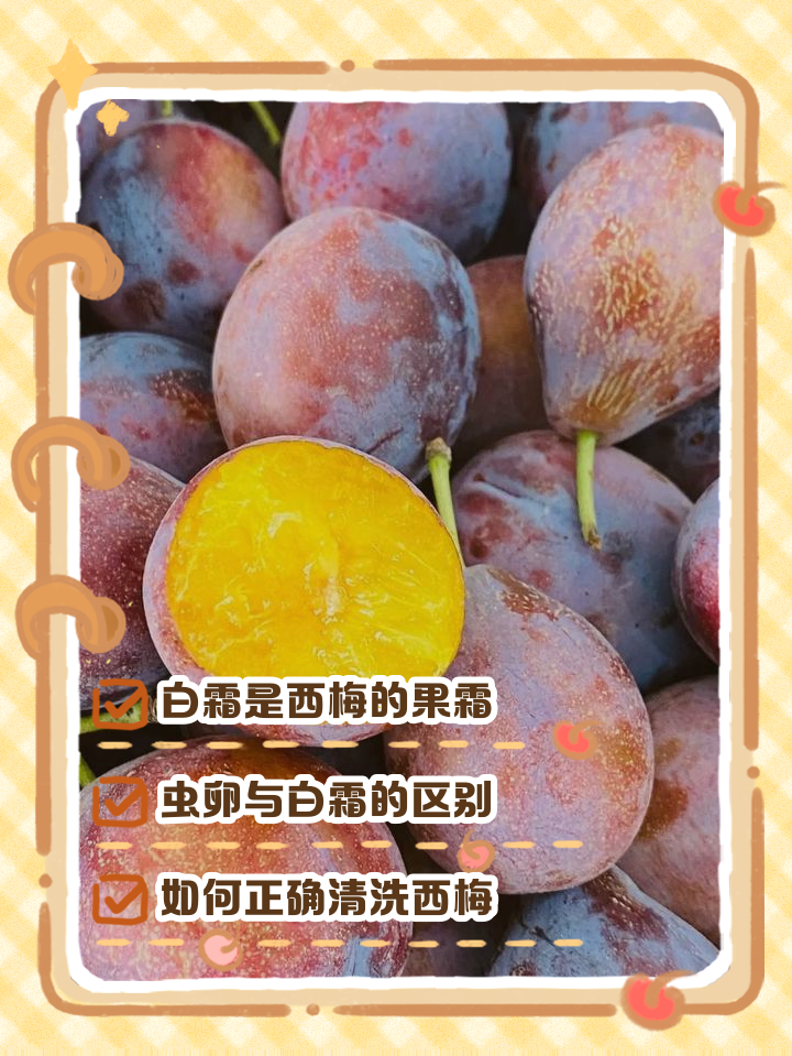 西梅属于热性还是凉性(西梅是凉性水果还是热性水果) 西梅属于热性还是凉性(西梅是凉性水果还是热性水果)