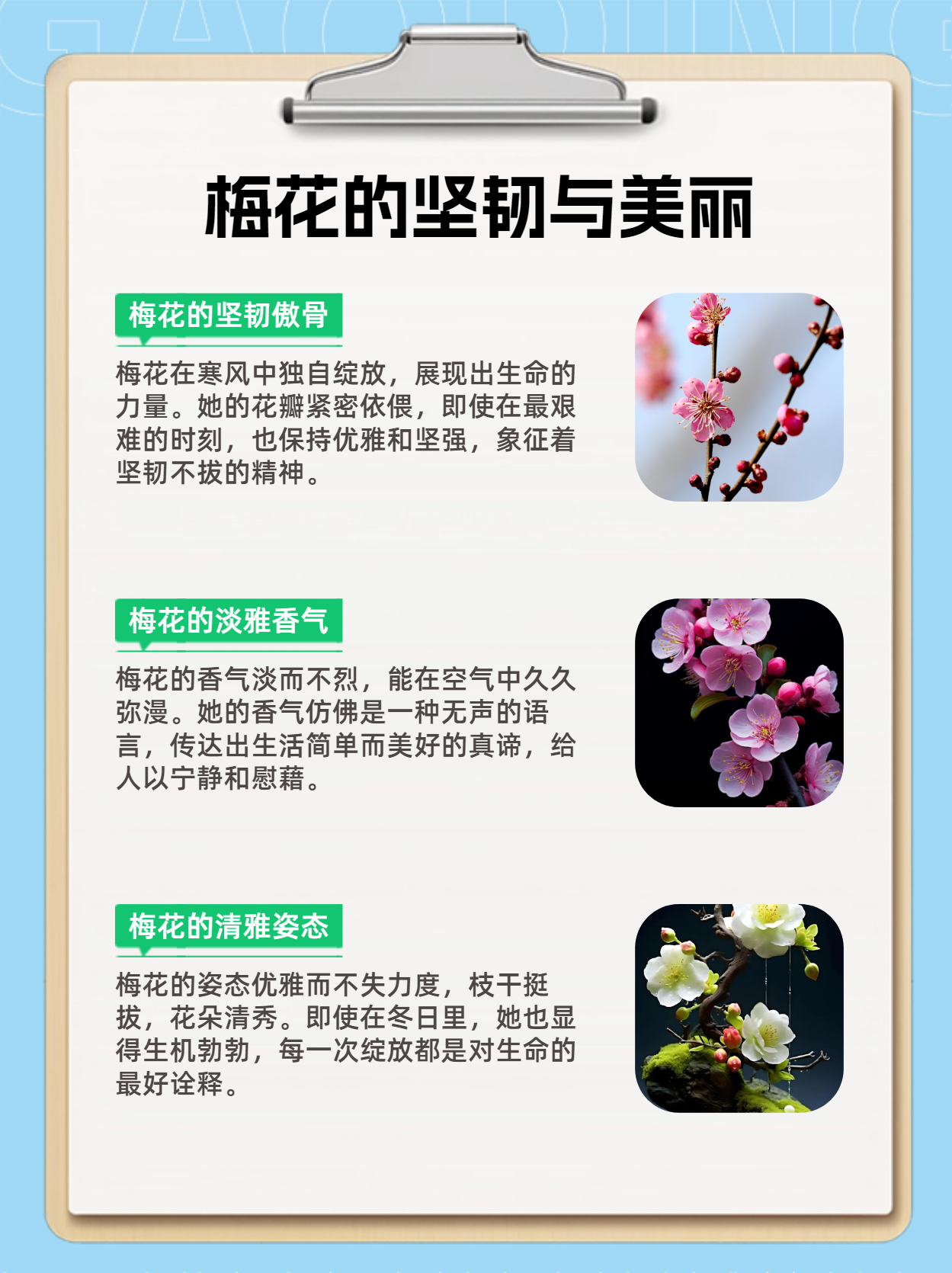 风花雪月的意思(风花雪月的意思是什么最佳答案) 风花雪月的意思(风花雪月的意思是什么最佳答案)