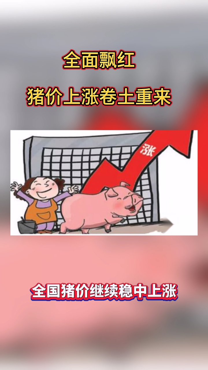 今天猪价上涨多少(今天猪价行情涨跌表今日猪价涨跌明天)