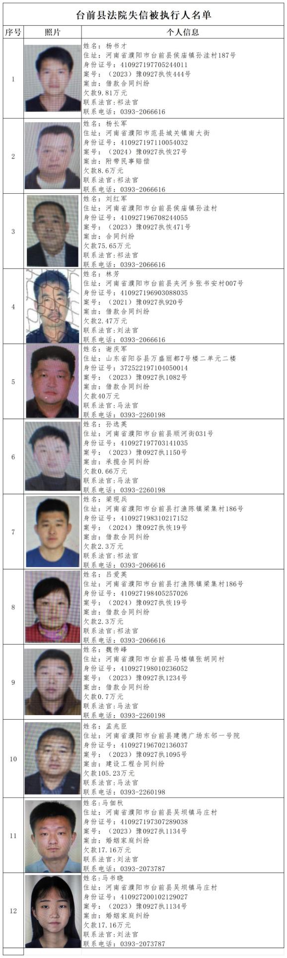 全国失信人员被执行人名单查询(中国执行信息公开网查询失信名单)