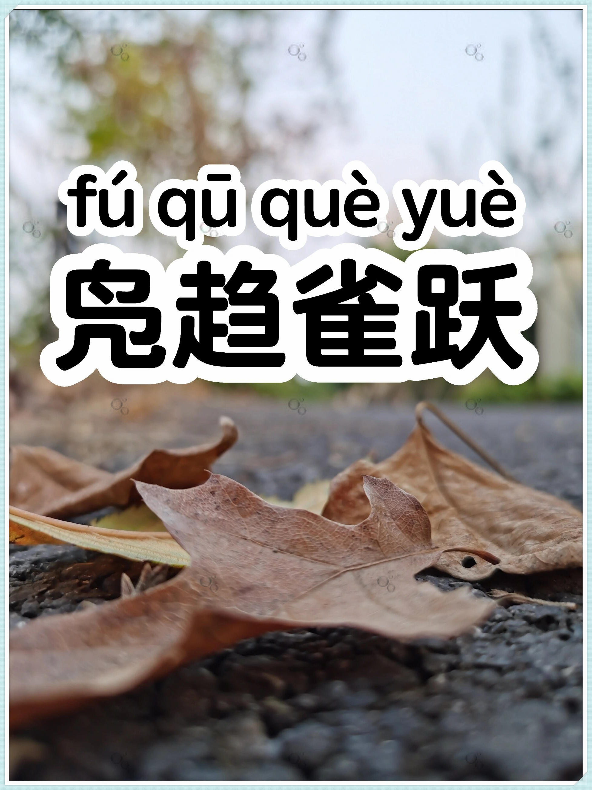 趋之若鹜的拼音是什么(趋之若鹜读音是什么意思)