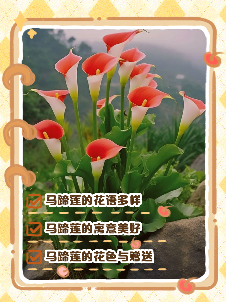 走马观花的意思(走马观花打一最佳生肖)