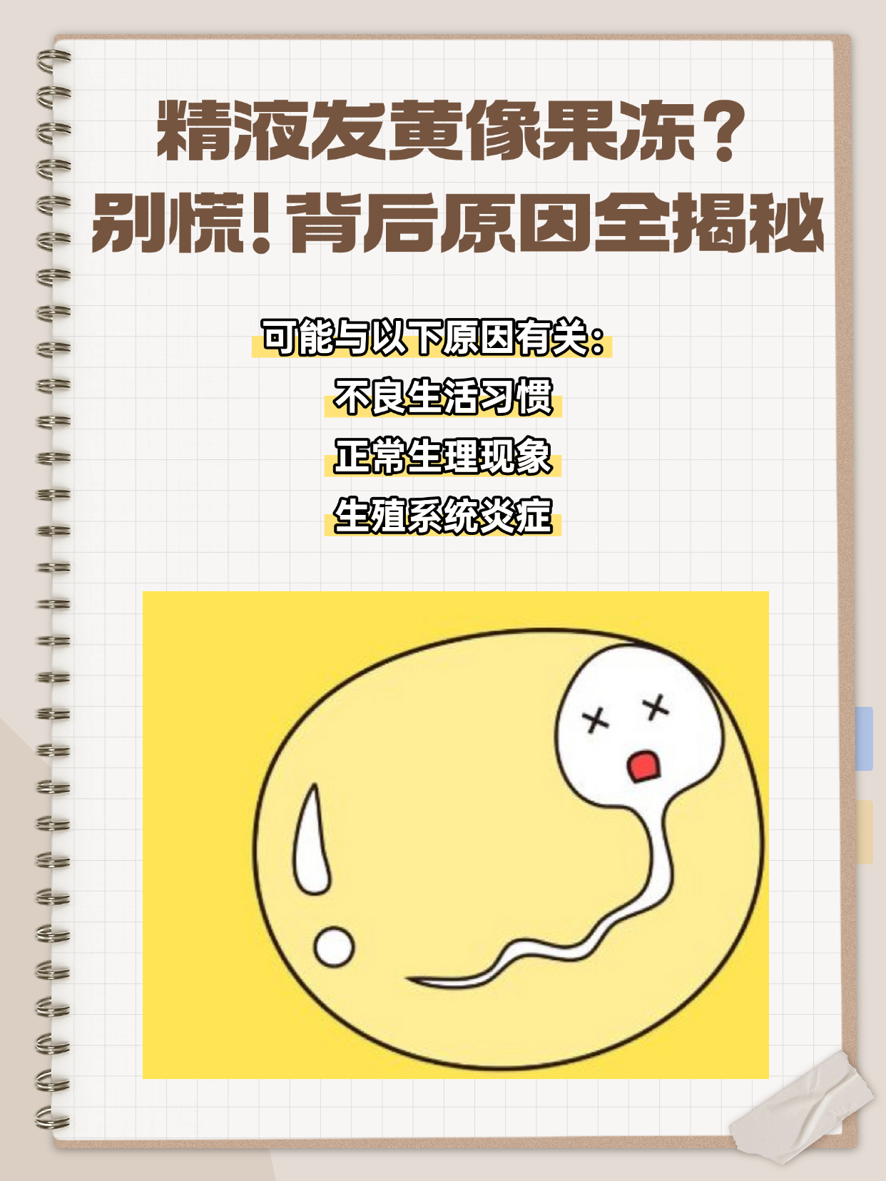 关于精子吃了会怎么样的信息 关于精子吃了会怎么样的信息