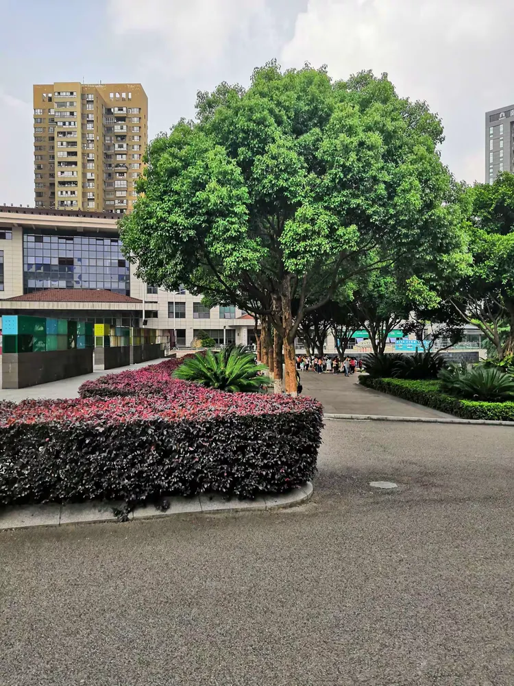 重庆渝北区属于高风险区吗(重庆渝北区属于高风险区吗今天) 重庆渝北区属于高风险区吗(重庆渝北区属于高风险区吗今天)