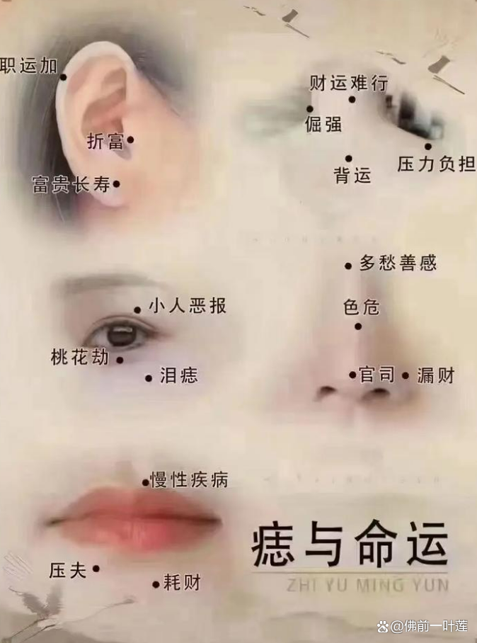 女人10处有痣苦命痣(女人10处有痣苦命痣鼻子有痣) 女人10处有痣苦命痣(女人10处有痣苦命痣鼻子有痣)