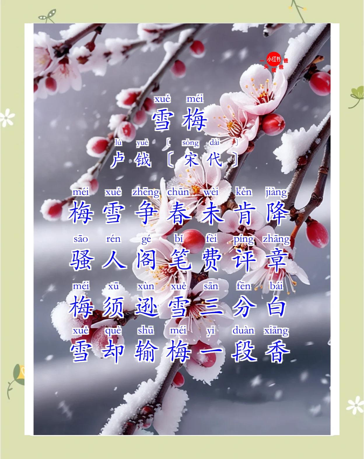 风花雪月是什么意思(只有风花雪月是什么意思)