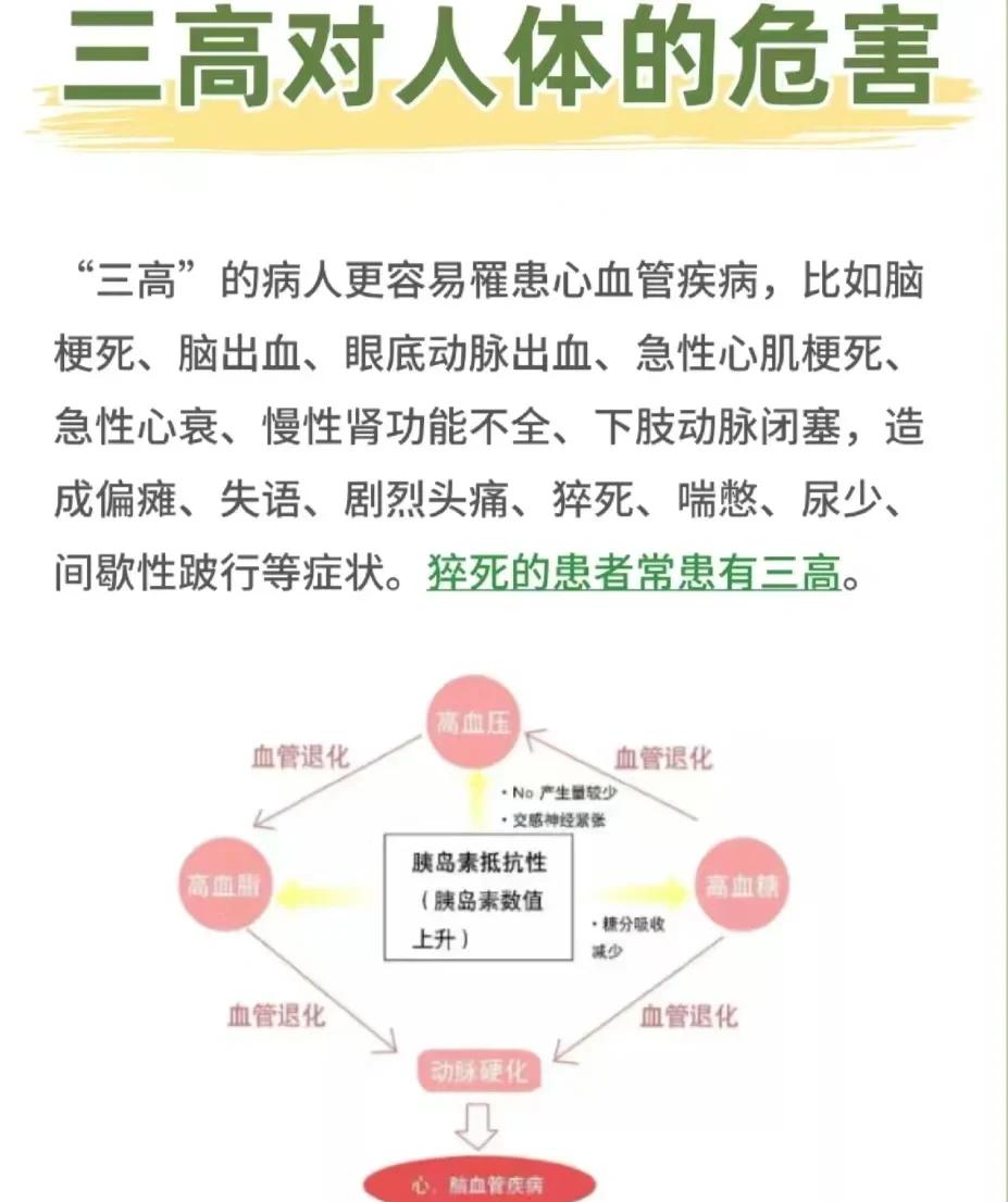 三级预防是指哪三级(三级预防是指哪三级康复)
