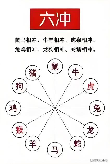 今日生肖相冲(今日生肖相冲是什么)