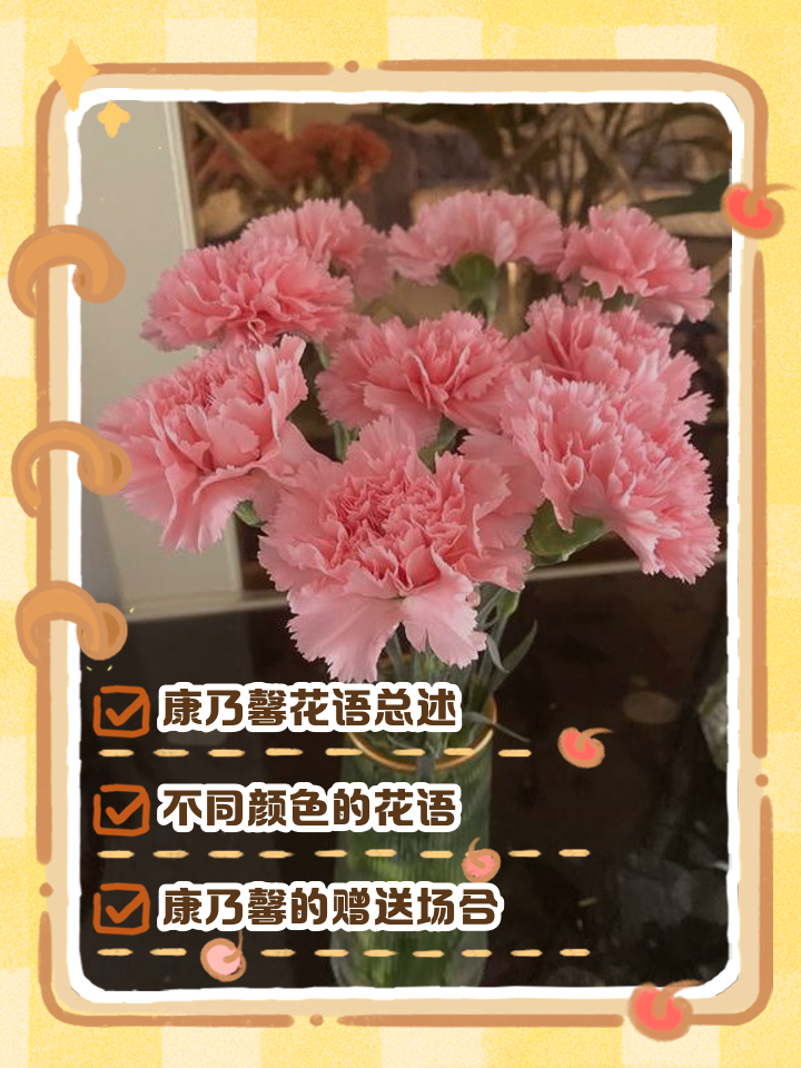 康乃馨怎么养家庭养法(康乃馨怎么养家庭养法视频) 康乃馨怎么养家庭养法(康乃馨怎么养家庭养法视频)