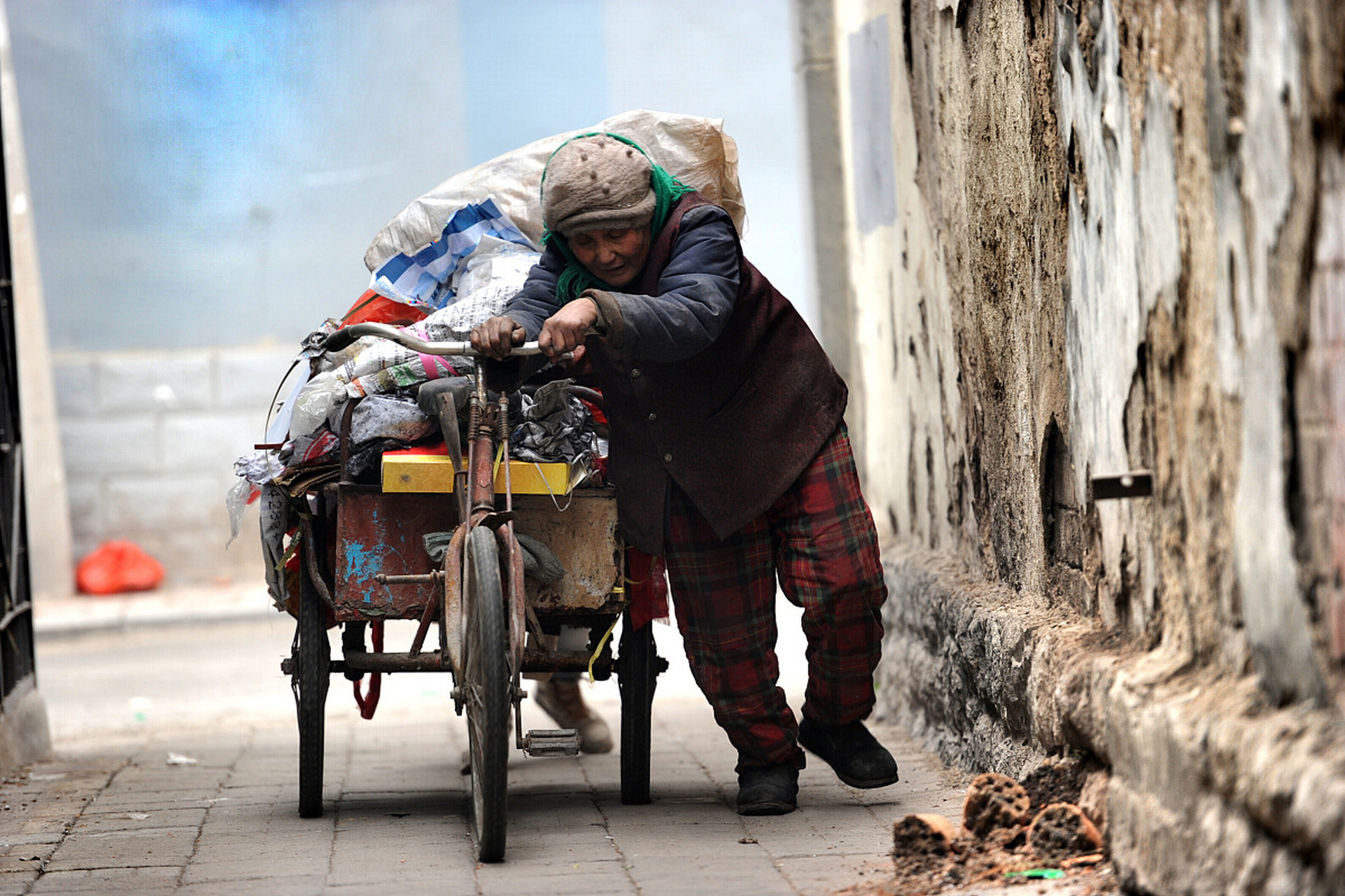 路不拾遗(路不拾遗才及格打一生肖)