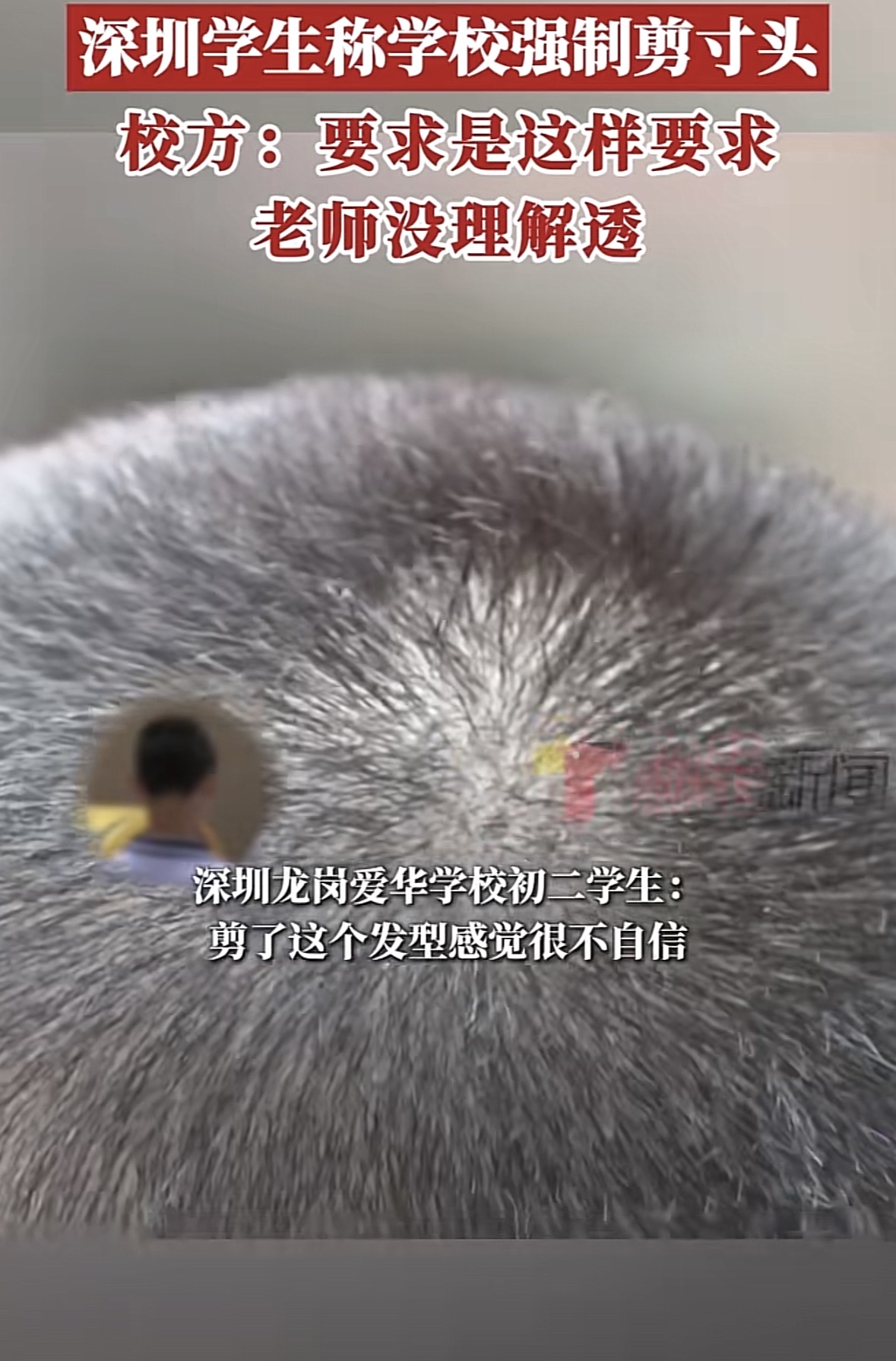学校强制剪头发犯法吗(学校强制剪头发犯法吗举报电话) 学校强制剪头发犯法吗(学校强制剪头发犯法吗举报电话)
