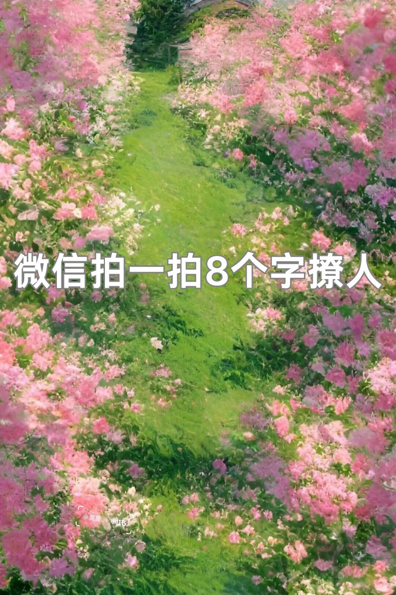 微信怎么拍一拍对方添加文字(微信拍一拍怎么加文字让对方看到) 微信怎么拍一拍对方添加文字(微信拍一拍怎么加文字让对方看到)