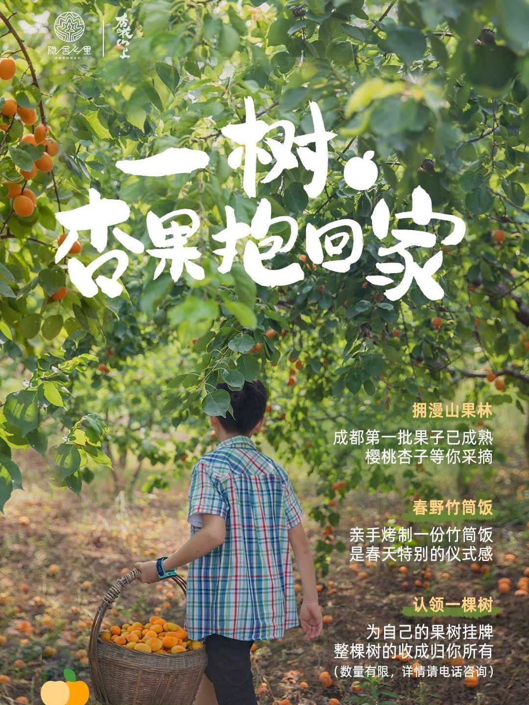 损坏一棵树树木赔偿标准(损坏一棵树树木赔偿标准是什么)