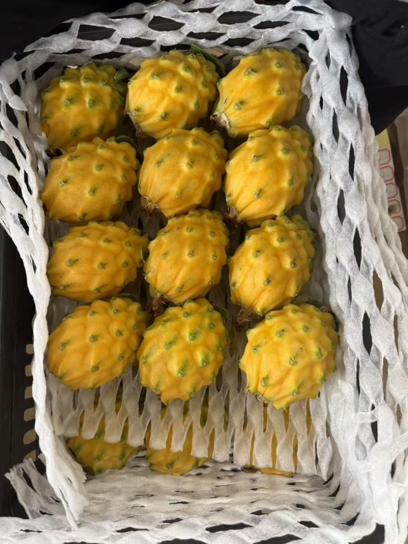 燕窝果产地哪里最好(燕窝果产地哪里最好吃) 燕窝果产地哪里最好(燕窝果产地哪里最好吃)