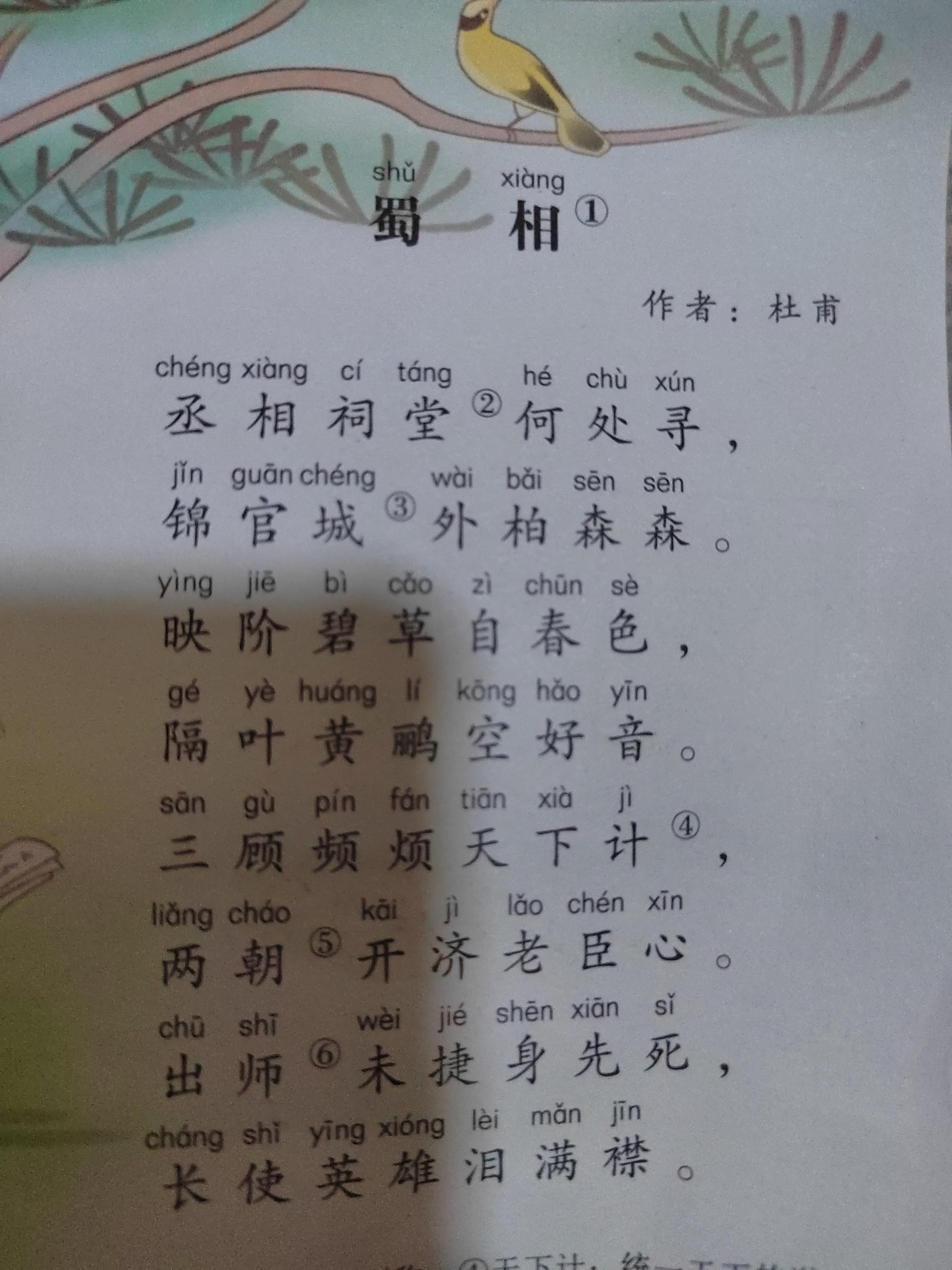 稍纵即逝的拼音(稍纵即逝的拼音和意思)