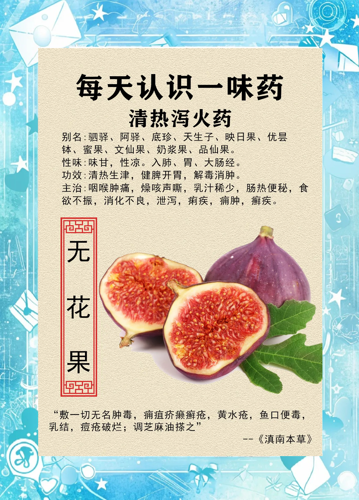 随便果的作用与功效(随便果的作用与功效图片) 随便果的作用与功效(随便果的作用与功效图片)