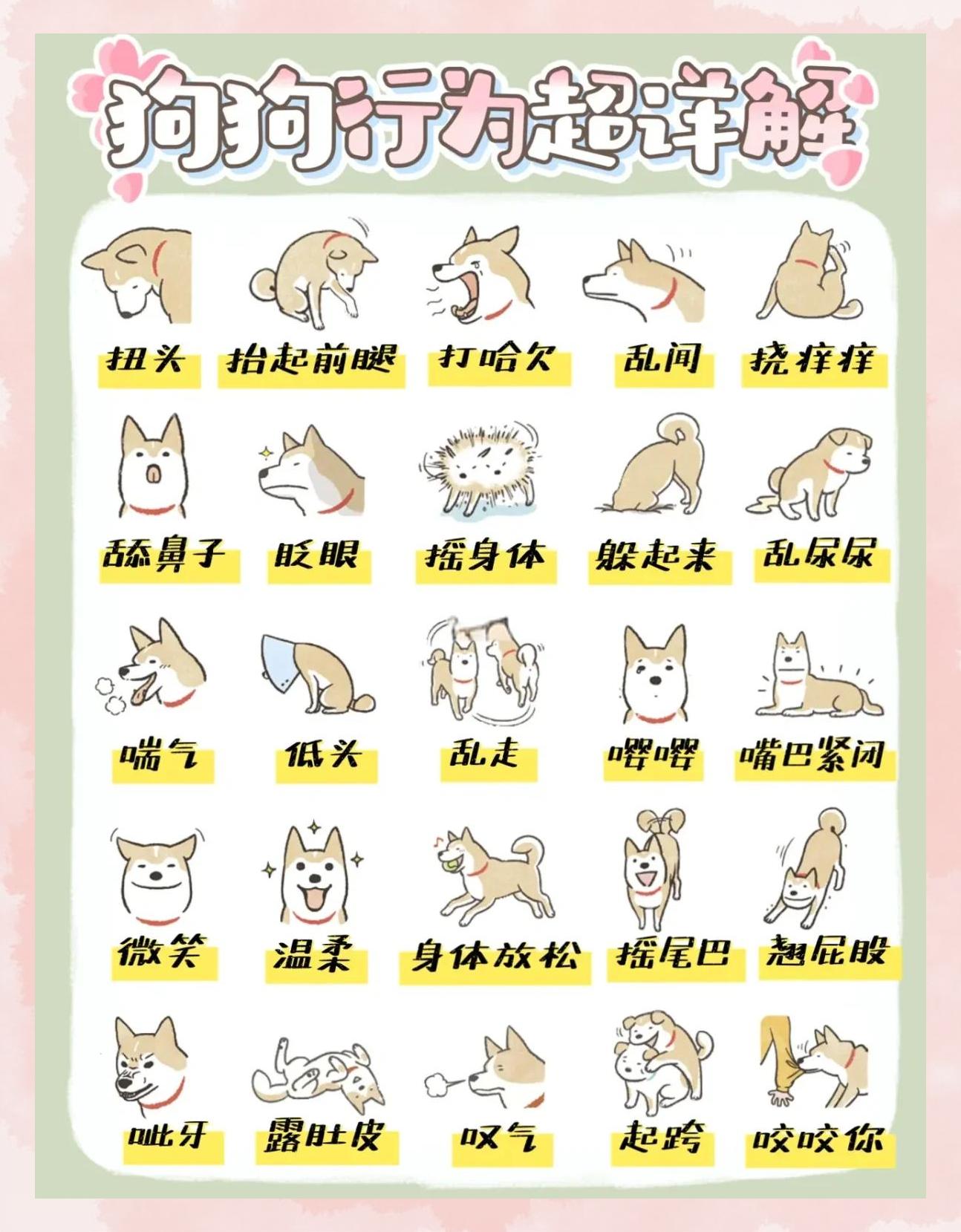 鸡犬相闻的意思是什么(鸡犬相闻的意思 的意思)