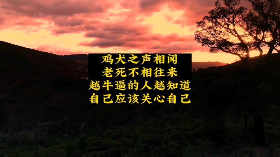 鸡犬相闻的意思是什么(鸡犬相闻的意思 的意思) 鸡犬相闻的意思是什么(鸡犬相闻的意思 的意思)