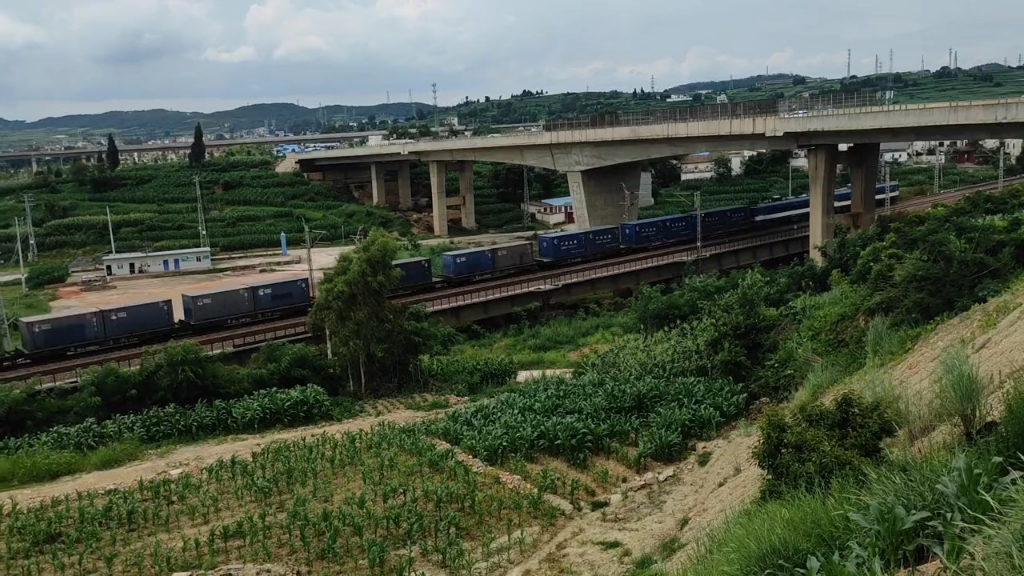 k137(k1372列车) k137(k1372列车)