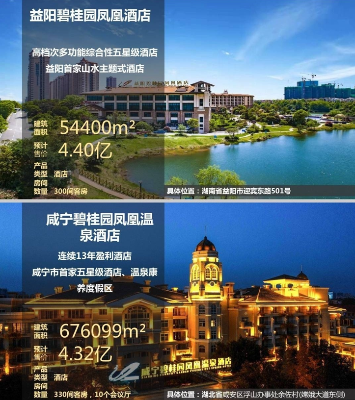 碧桂园最新消息(碧桂园最新消息新闻)