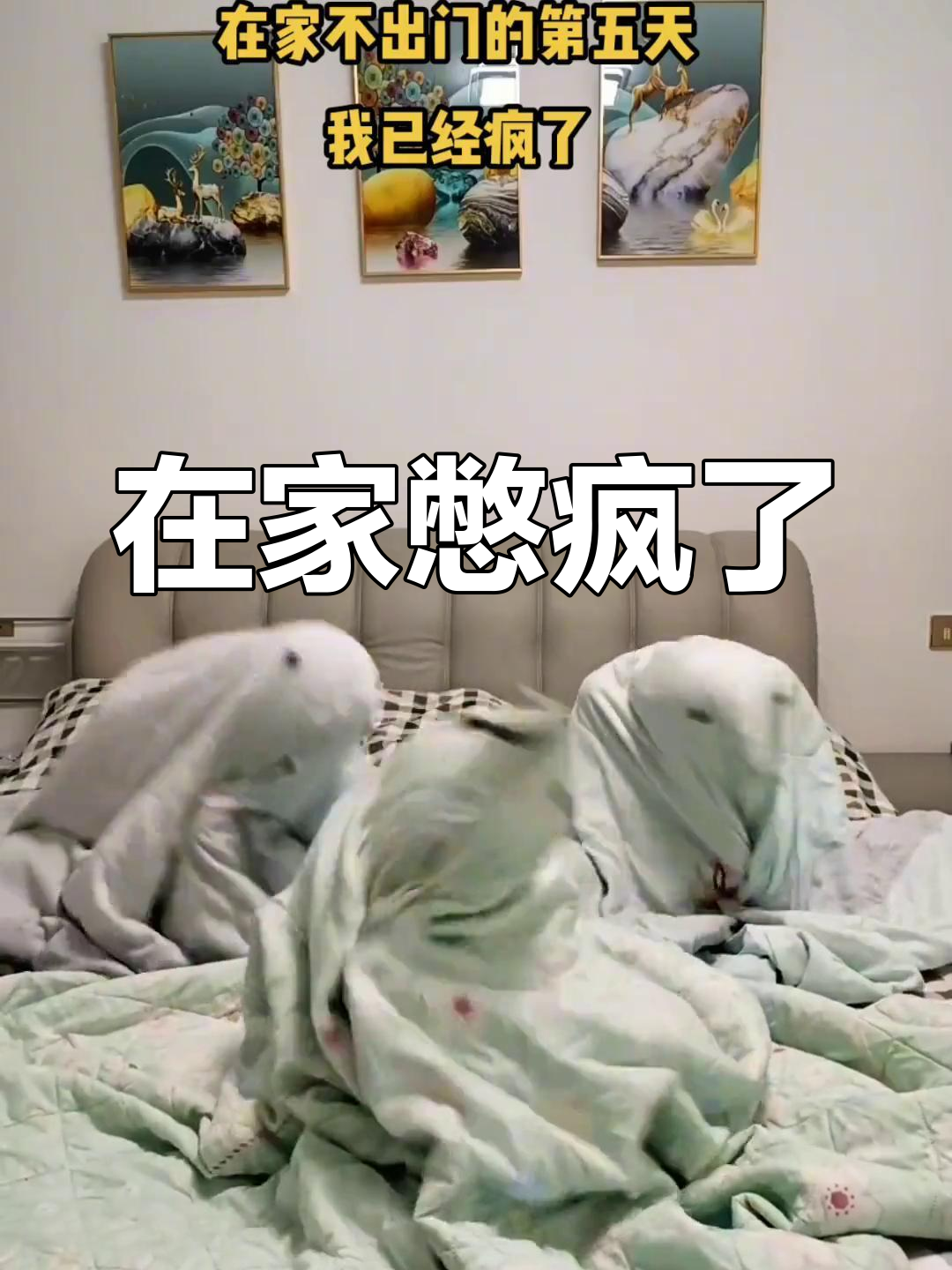 疫情宅家的幽默句子(疫情宅家的幽默句子搞笑) 疫情宅家的幽默句子(疫情宅家的幽默句子搞笑)