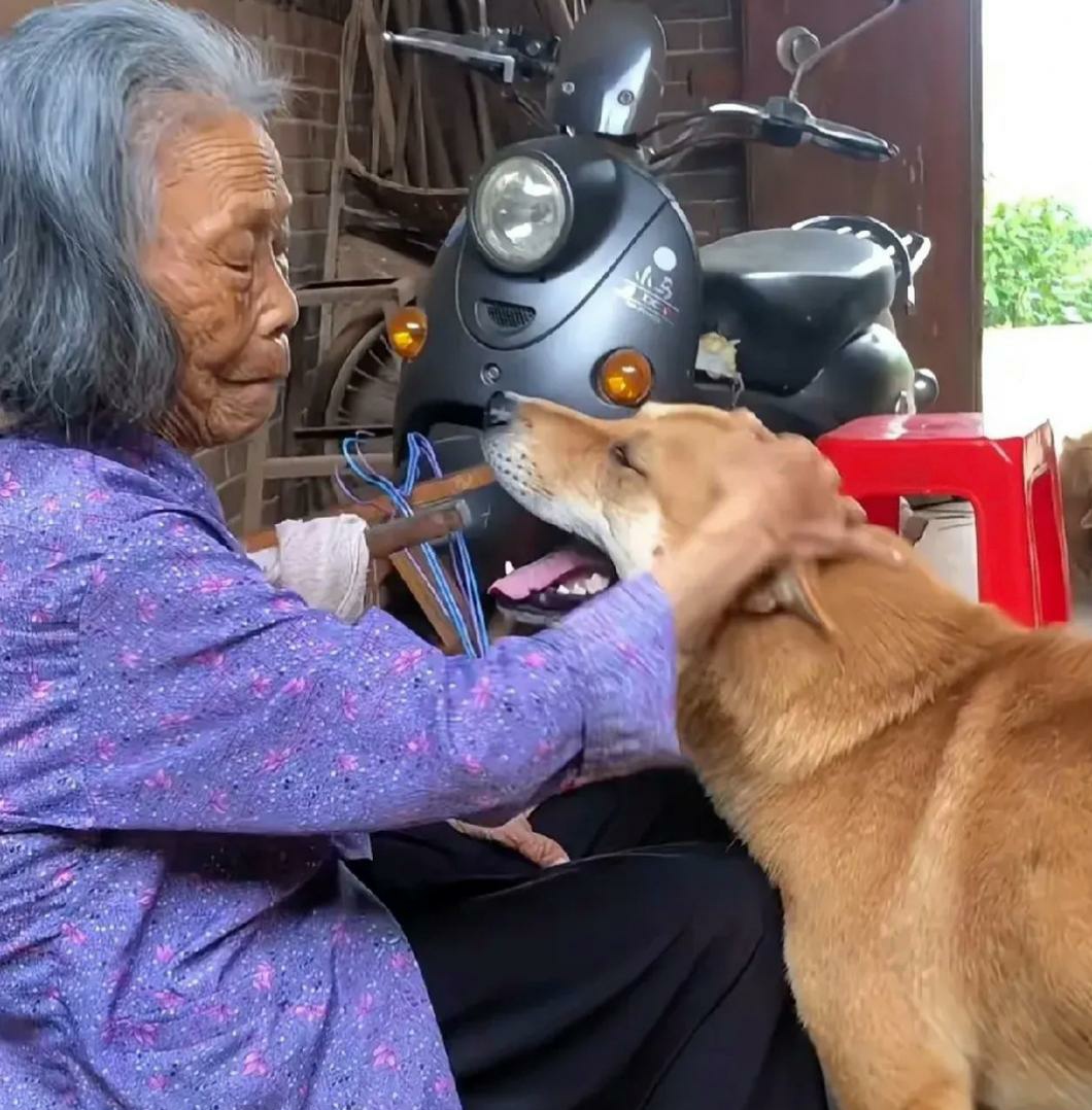 所剩无几(所剩无几是成语吗)