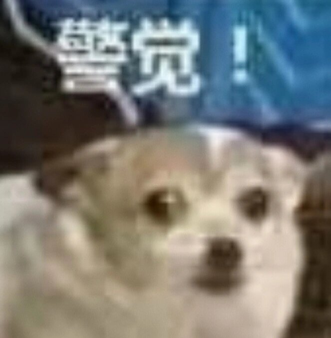 网课头像(网课头像女生可爱) 网课头像(网课头像女生可爱)