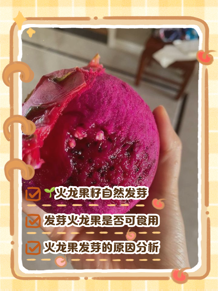 一天一个火龙果的危害(请问一天一个火龙果会不会发胖) 一天一个火龙果的危害(请问一天一个火龙果会不会发胖)