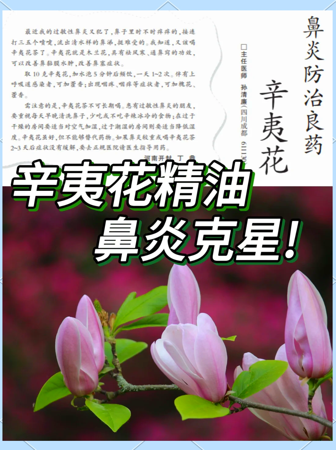 香椿花的作用与功效(香椿花的作用与功效图片) 香椿花的作用与功效(香椿花的作用与功效图片)