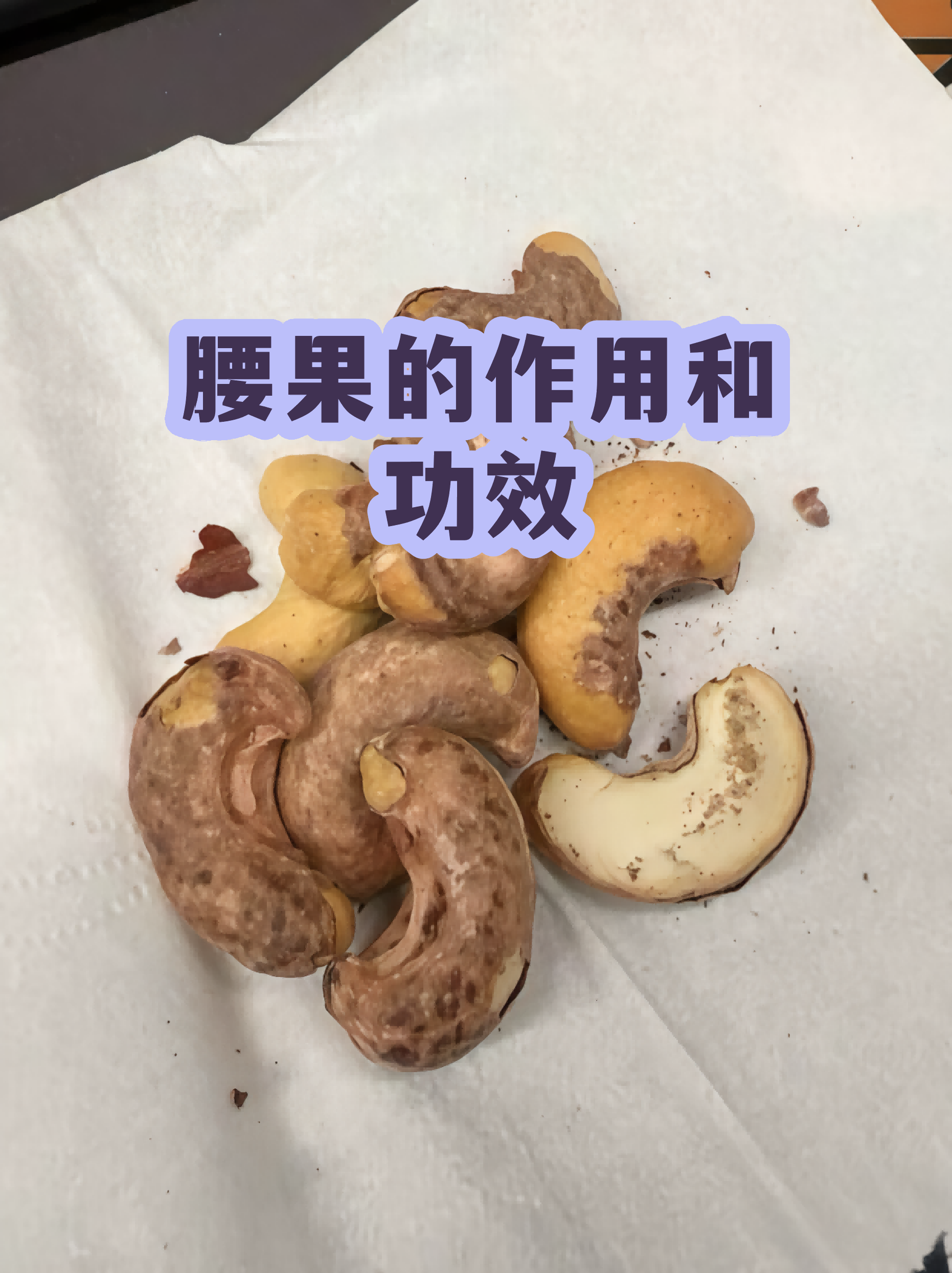 生腰果的功效与作用及食用方法(生腰果的功效与作用及食用方法视频) 生腰果的功效与作用及食用方法(生腰果的功效与作用及食用方法视频)