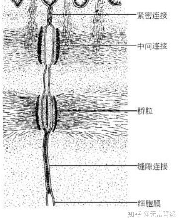 1nm等于多少um(1nM等于多少molL)