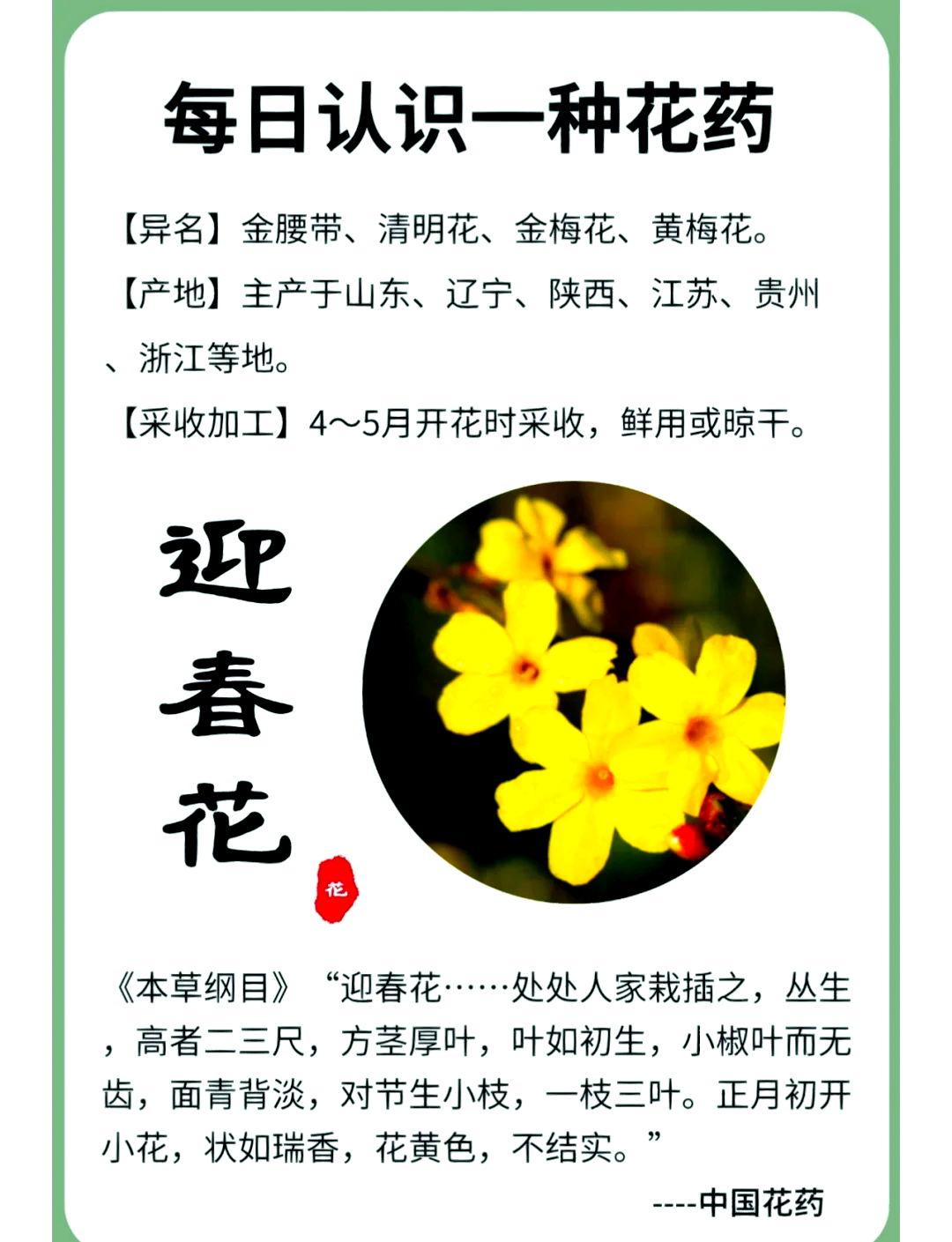 花枝招展是什么意思(花枝招展是什么意思解释)