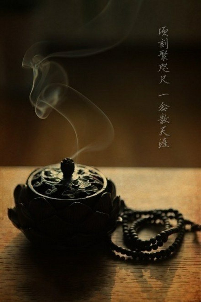 百代之过客(李白夫天地者万物之逆旅,百代之过客) 百代之过客(李白夫天地者万物之逆旅,百代之过客)