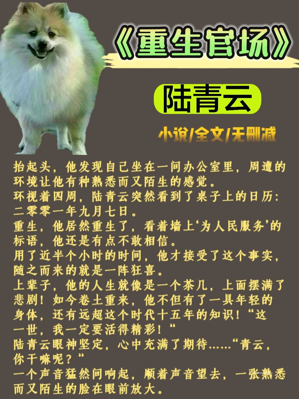 最厉害的官场小说(口碑最好的官场小说作者)