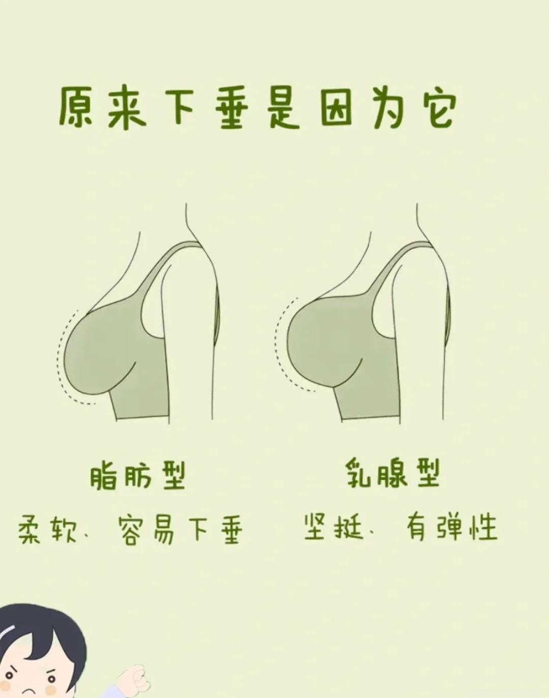 36c胸围是多大(14岁女生胸围正常范围) 36c胸围是多大(14岁女生胸围正常范围)