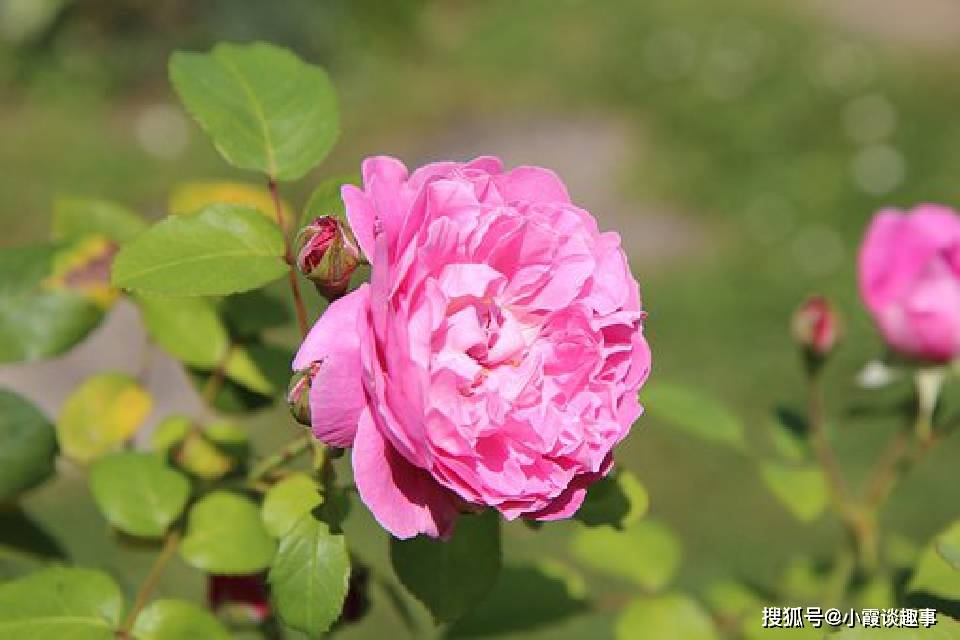如梦初醒的意思是什么(如梦初醒的意思怎么解释) 如梦初醒的意思是什么(如梦初醒的意思怎么解释)