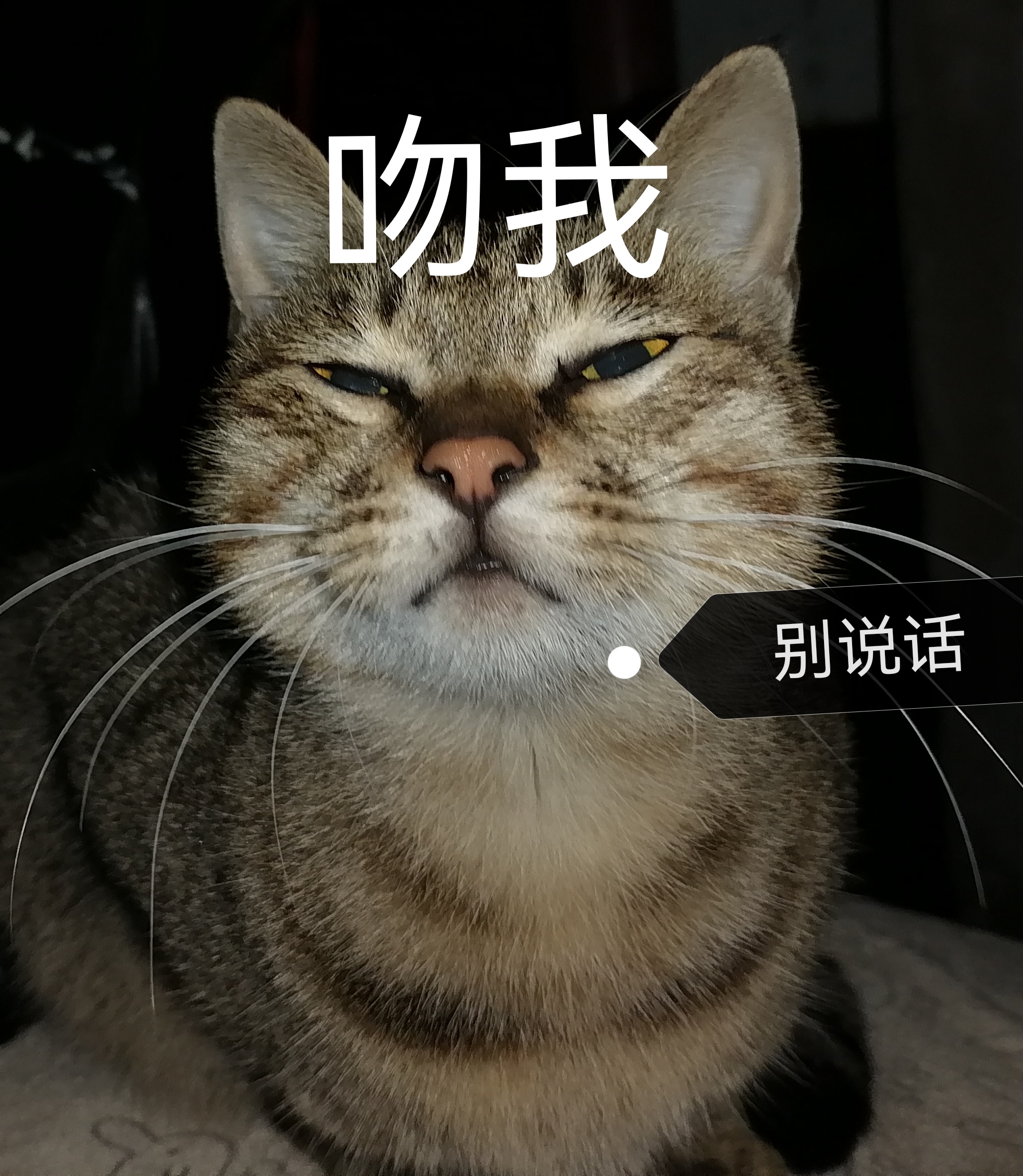 不屑一顾的意思(不屑一顾的意思解释)