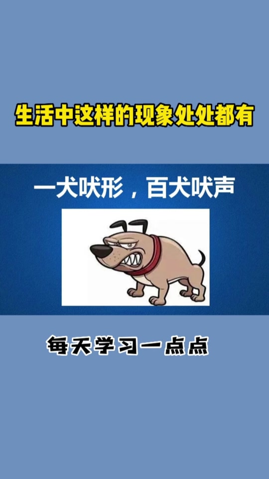 随声附和的拼音(随声附和的拼音是什么)