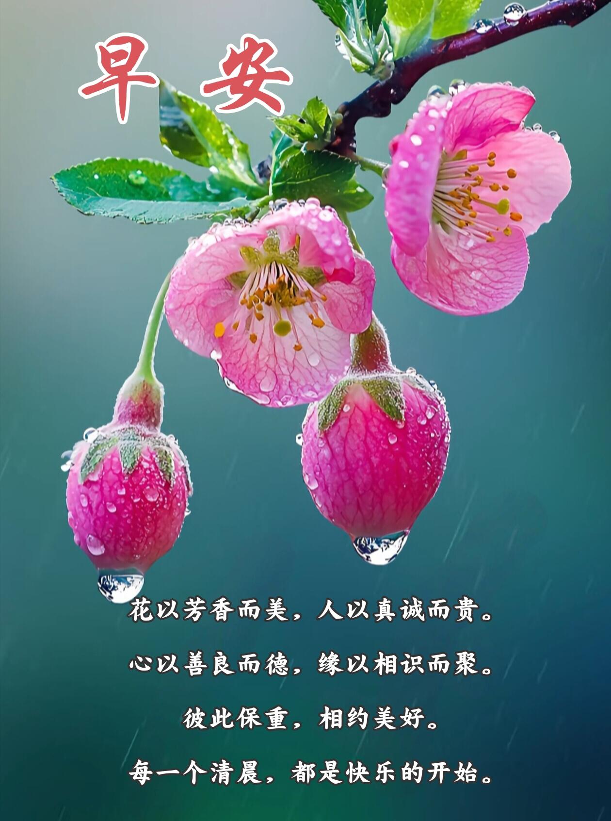 晨和什么字结合寓意好(晨和什么字结合寓意好听)