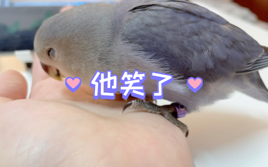 一干二净(一干二净的拼音)