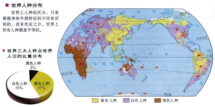 世界人种分布图(世界人种分布图图片)